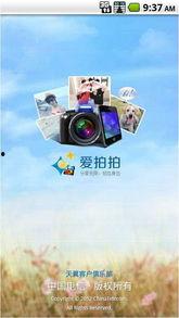 爱拍拍国产区视频,爱拍拍平台精彩内容大盘点