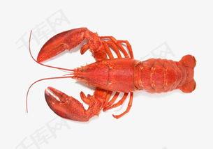 鳌虾国产图片视频大全,图片视频大全展示美味与生态魅力